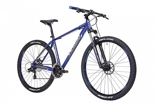 Bicicletas whistle opinión Clearance