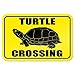 Produktbild Graphics and More 22,9 x 15,2 cm "Turtle Crossing" Metall Zeichen