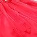 iEFiEL Newborn Baby Girl Red Christmas Party Flower Petals Tutu Dress Flower Headband Outfits 18-24 Months