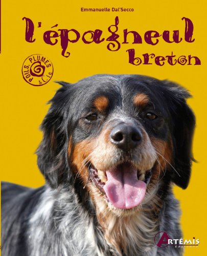 L EPAGNEUL BRETON L EPAGNEUL BRETON