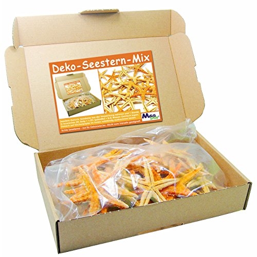 SEESTERN – MIX 20 er – Set echte Seesterne Deko – Starfish im Karton zum Dekorieren & Basteln (Natur) - 2