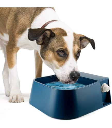 2 Bebitori Automatici Per Pecore E Capre - Con Valvola, 600ml, Materiale PP Sicuro - Foto 6