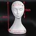 Styrofoam Foam Mannequin Manikin Head Stand Model Display Hold Wigs Hat