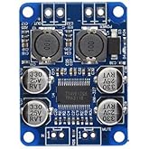 SANEC TPA3118 60W Sound Amplifier Module