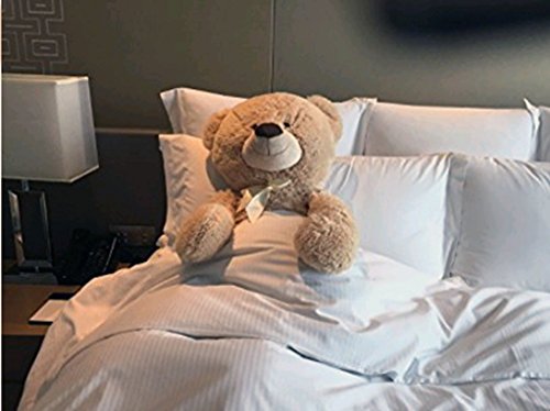 VERCART Riesen Teddybär Kuschelbär 50-200 cm groß Plüschbär Kuscheltier samtig weich – zum liebhaben - 2