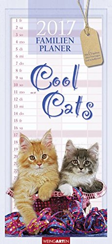 Familienplaner Cool Cats - Kalender 2017