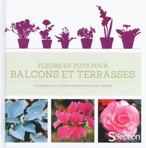 Fleurs en pot pour balcons et terrasses