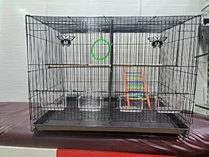 Imported Birds Cages with Removable Partition for Canary,Finches,Budgies,Lovebirds, Cocktail,Conures for All Small and Medium Size Birds with 1 Swing and 1 Ladder and 2 Perch Sticks-Colors May Vary