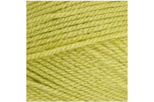 THE GREAT BRITISH YARN COMPANY Stylecraft Special DK - Pistachio (1822), Single 100g Ball, Popular Knitting & Crochet Yarn, 100% Acrylic, 295 Metres