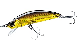 Yo-Zuri Yo Zuri 3D Inshore Minnow - Señuelo Flotante 31 2 pies