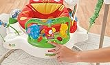 Fisher-Price Baby Gear – K7198 – Rainforest Jumperoo - 10
