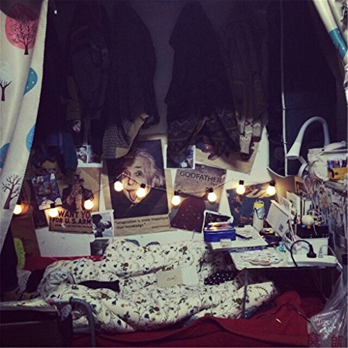 ERGEOB 10er LED Kugel Lichterkette warmweiß Edison-Glühbirne Lichterketten Batterie Betrieben - 2