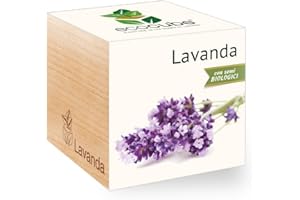 Feel Green New Grow Your Own, Lavanda