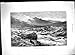 Produktbild 1898 LachsWilderer-GebirgsFluss-Otter-General Blanco Palace Havana