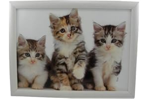 Mars & More Knietablett Kätzchen