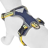 Blueberry Pet Soft & Comfy 3M Reflective Multi-colored Stripe Padded Dog Harness Vest, Chest Girth 45cm-54cm, Neck 37cm-52cm, Yellow & Green, Small, Mesh Harnesses for Dogs