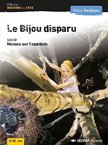 couverture de : Le bijou disparu