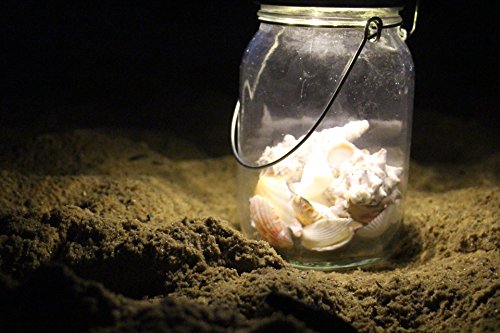 Sun Jar von CasaBasics – attraktive und hochwertige Solarlampe im Einmachglas mit 4 LEDs – Solarleuchte - 5