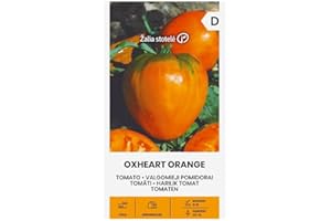 ŽALIA STOTELĖ Zalia stotele | TOMATE CORAZON DE TERNERA NARANJA Semillas | Semillas de hortalizas | Semillas Tomate | Semillas de plantas | Semillas de jardín | 1 paquete