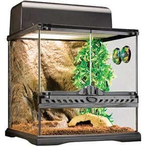 Exo Terra Terraristik Starter-Set Wirbellose, klein