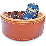 Bestia Echtleder Hundehalsband mit weicher Leder Innenpolsterung. 6,5 cm breit. Passfit. 100% Echtleder. komplett braun. Größen M, L, XL, XXL 42,5 bis 75 cm Halsumfang. Top Qualität. Pitbull, Staffy, Dogo, Bulldog, Rottweiler, Terrier. Hergestellt in Europa!