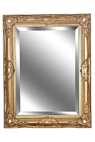 Spiegel Wandspiegel Lara antik gold Barock 65 x 50 cm