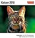 Harenberg Postkarten-Kalender Katzen 2010 by