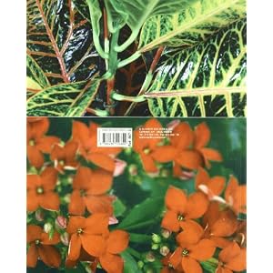 Plantas de interior, plantas de jardín