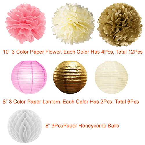 Paxcoo 22 Pcs Pink Gold Tissue Pom Poms Blumen Papier Laternen Polka Dot Girlande für Geburtstag Baby Dusche Dekorationen - 2