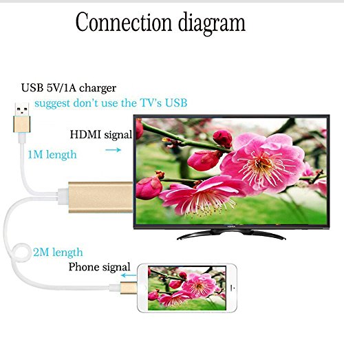 Lightning HDMI Kabel, Apple Super Speed Anschluss auf 8-Pin-Stecker auf Stecker HDMI 1080p HDTV-Adapterkabel mit USB-Ladekabel für iPhone iPad 5 5S 6 6S Plus System - 5