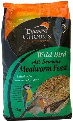 Dawn Chorus Wild Bird Insect & Mealworm Feast 2kg