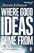 Where Good Ideas Come From: The Seven Patterns of Innovation by Steven Johnson