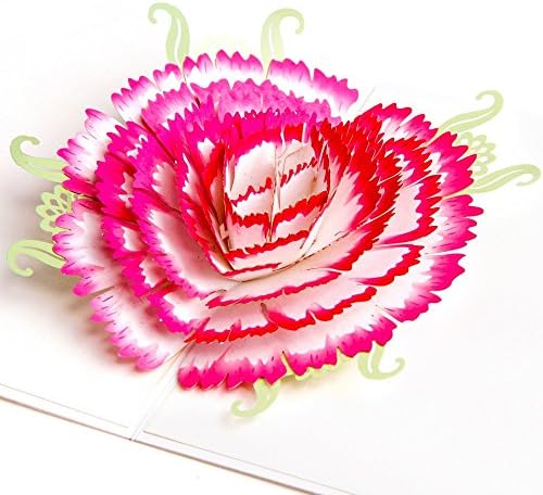 UNIQUEplus RED WHITE FLOWER 3D Pop UP Greeting Cards for BIRTHDAY, Mother's Day, Chirstmass, Thank You, Anniversary, Wedding (pink)