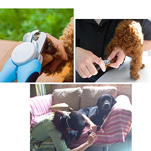 RundA-Pet-Grooming-kit-Pet-Shedding-Comb-Dog-Nail-Clippers-Bathing-Massage-Brush-for-Dog-and-Cat