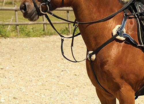 Windsor EquestrianHorses Leather 5 Point Breastplate Havanah Cob