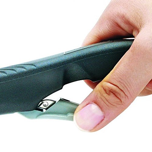 Original Gundel GUSS-BRATPFANNE INDUKTION (hoch), Ø 28cm, H 7cm, BIOTAN-Oberfläche, Akku-Therm Boden – abnehmbarer Designer-Stiel - 2