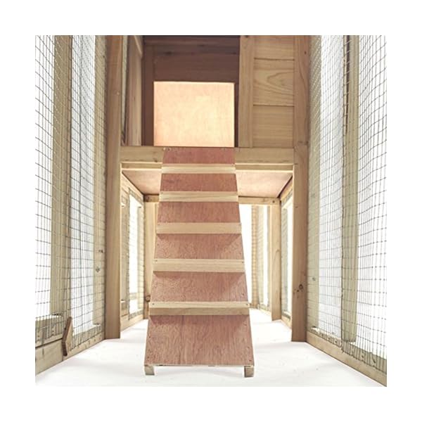 Idmarket Poulailler Xxl Clapier En Bois Avec Pondoir