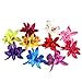 Produktbild 10 x Elegante Frauen Mädchen Multi Farben Orchidee Blume Haarspangen Hawaiian Strand Hochzeit Party Haar Clip Haar Barrette Haar Pin Farbe zufällig