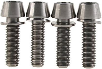 Yaruijia Titanium Ti Bicycle M6x20mm Hex Tapered Head Disc Brake Fixed Bolts with Washers pack of 4 (Titanium)