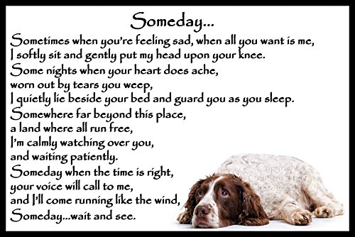 Springer-Spaniel-dog-bereavement-pet-memorial-Flexible-Fridge-Magnet-Someday