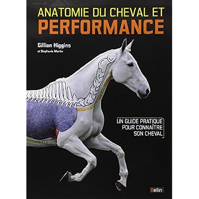 Dev Deepa: Download Anatomie Du Cheval Et Performance : Un Guide ...