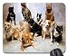 Produktbild Mousepad, Funny cutepuppies Familie Labs Dogs Pet Persönlichkeit Gummi rutschfeste Design-Mauspad Büro Computer Zubehör ifuoff