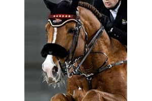 QQY Horse Headband LED Horse Breastplate Collar LED Strip Visibility Tack Horse Head Strap Bandage Strap for Night Horse Riding Equestrian Competition Event (Red)