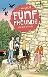 Fünf Freunde und die wilde Jo (Einzelbände, Band 19) by