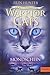 Warrior Cats - Die neue Prophezeiung. Mondschein: II, Band 2 by
