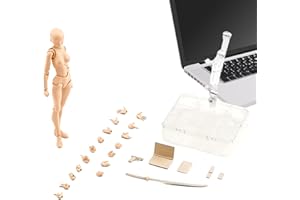 PATIFIRST Gliederpuppe Zum Zeichnen, Schaufensterpuppe Bewegliche Gelenke, Skizzieren Bewegliche Figur, Bewegliche Gesten Figurenmodelle Mit Sockelunterstützung Und Zubehör, Für Künstler Skizzieren, Malen