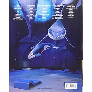Architecture Now! Museums (Midi)