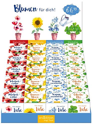 Preisvergleich Produktbild Blumensamen in Holzkiste