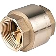 1" INCH Brass 12 BAR Check VALVES Non-Return Valve Female x Female with Brass Insert
