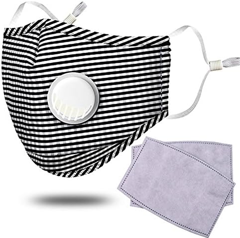 Pollution Mask Adult Anti PM 2.5 Pollen Dust Mask Washable Anti-fog Anti Dust Mask Antibacterial Activated Carbon Filter Earloop Mouth Mask with 2 Filters (Plaid)